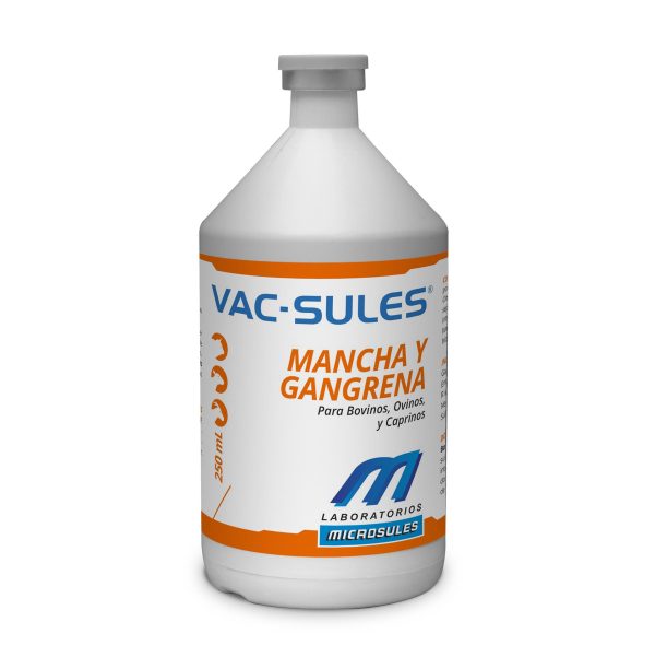 VAC-SULES MANCHA Y GANGRENA