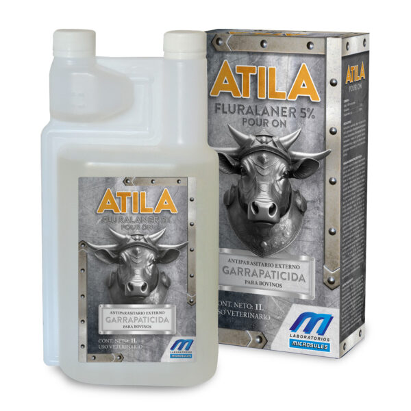 Atila - Imagen 3