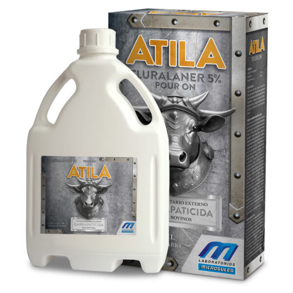 Atila