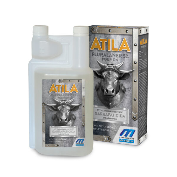 Atila - Imagen 2
